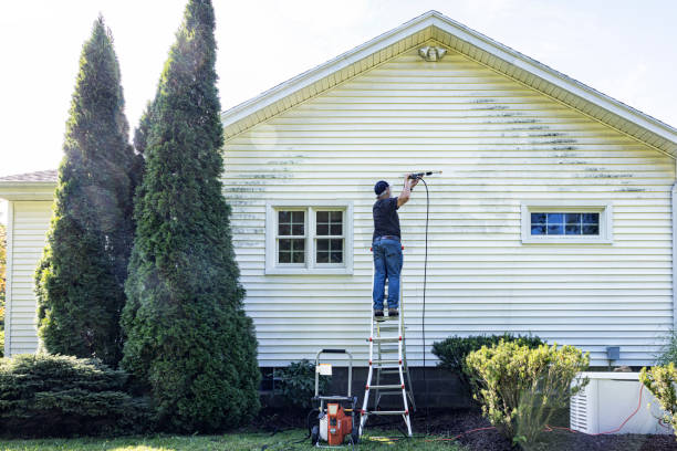 Best Driveway Cleaning and Restoration in Stanhope, NJ